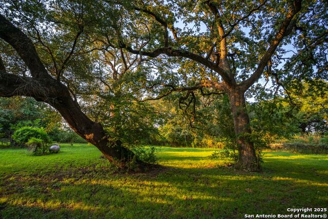 Listing photo id 0 for 1630 County Road 226