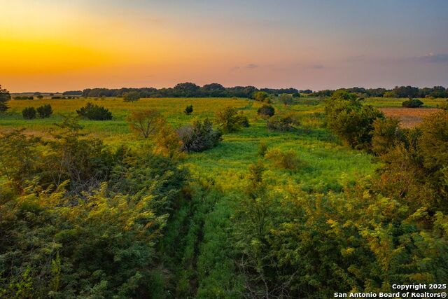 Listing photo id 19 for 1630 County Road 226