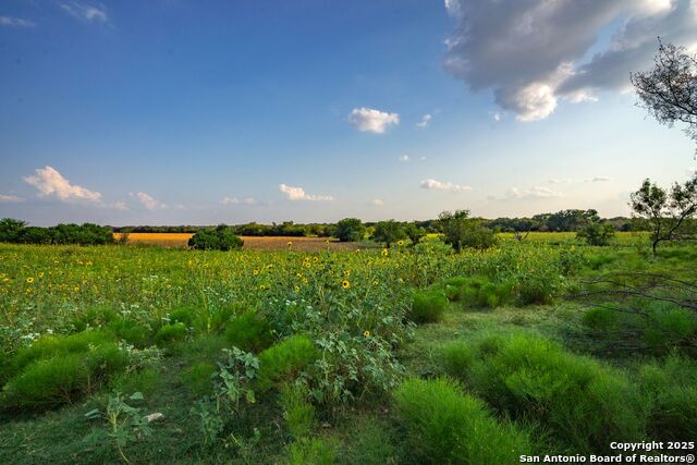 Listing photo id 24 for 1630 County Road 226