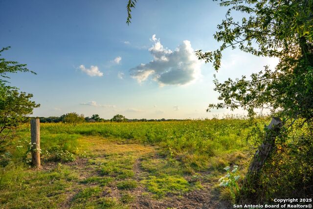 Listing photo id 26 for 1630 County Road 226