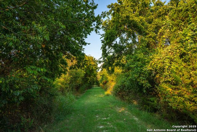 Listing photo id 27 for 1630 County Road 226