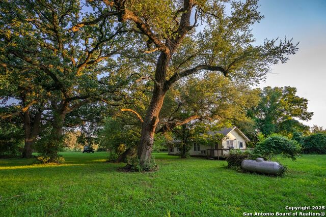 Listing photo id 30 for 1630 County Road 226