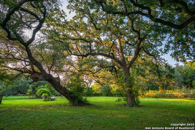 Listing photo id 31 for 1630 County Road 226