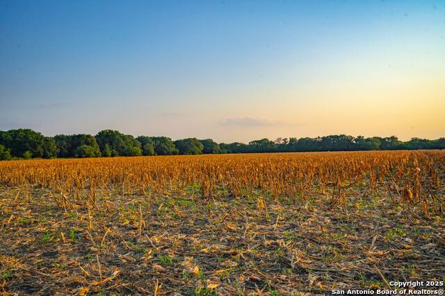 Listing photo id 32 for 1630 County Road 226