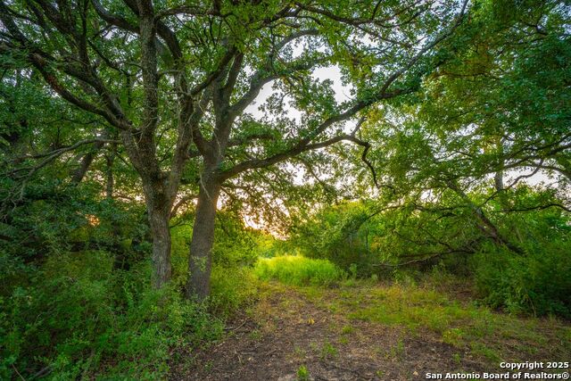 Listing photo id 33 for 1630 County Road 226