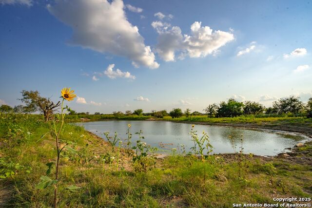 Listing photo id 5 for 1630 County Road 226