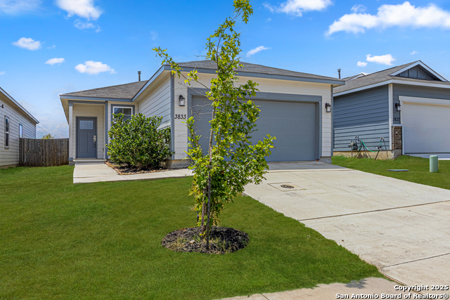 Image 2 of 28 For 3833 Ivy Path