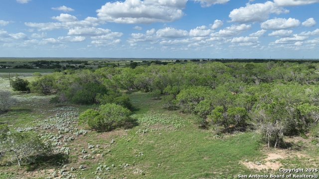 Image 6 of 9 For 533 Cr 477  