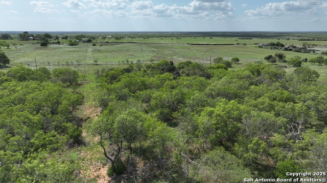 Image 7 of 9 For 533 Cr 477  