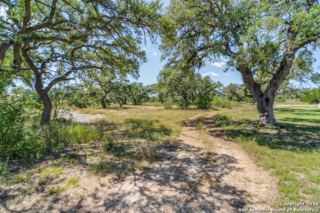 Listing photo id 8 for Lot 14 Barreal