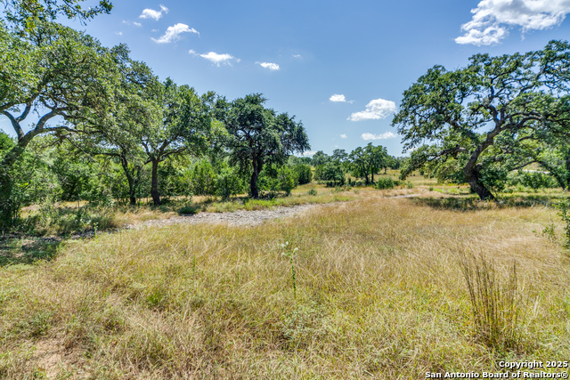 Listing photo id 9 for Lot 14 Barreal