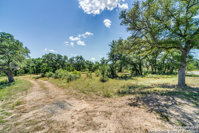 Listing photo id 4 for Lot 14 Barreal