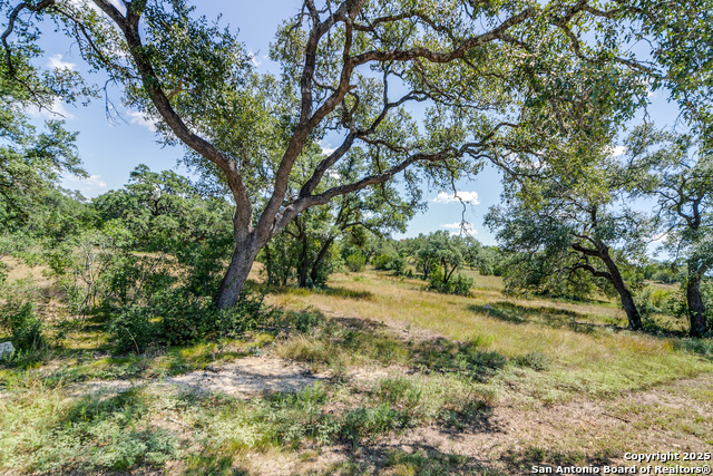 Listing photo id 5 for Lot 14 Barreal