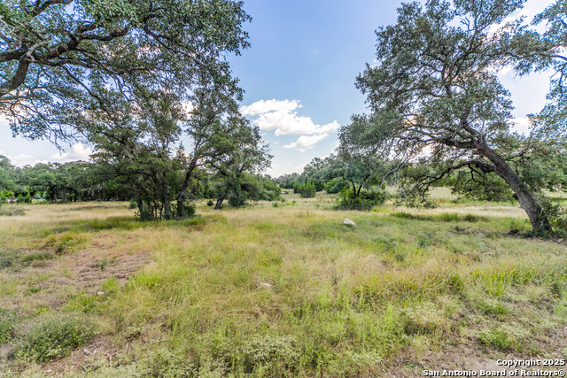 Listing photo id 6 for Lot 14 Barreal