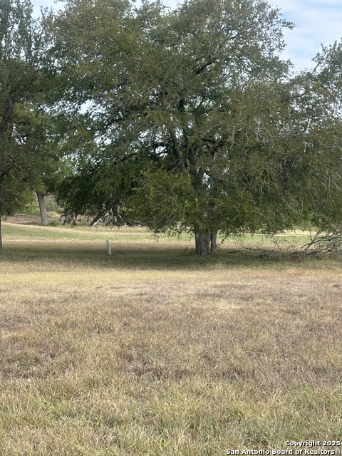 Image 3 of 4 For Tbd Fm 725  