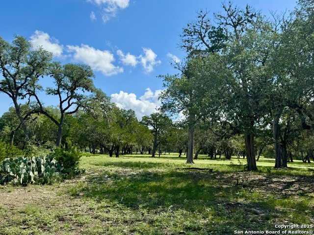 Details for 101 Patterson, Leakey, TX 78873