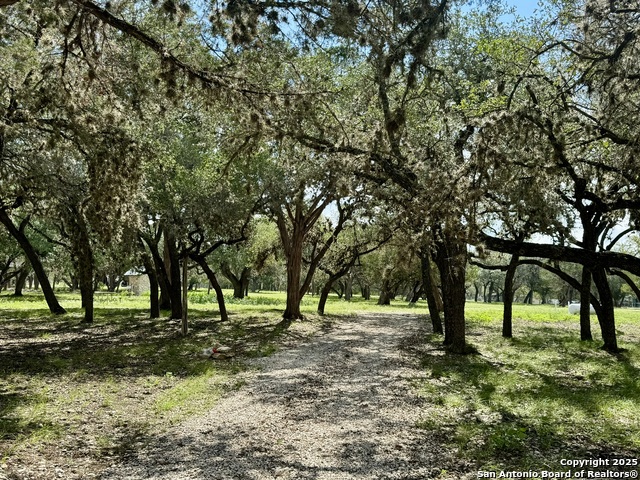 Image 10 of 19 For 101 Patterson