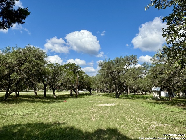 Image 11 of 19 For 101 Patterson