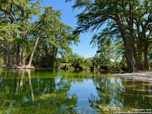 Image 13 of 19 For 101 Patterson