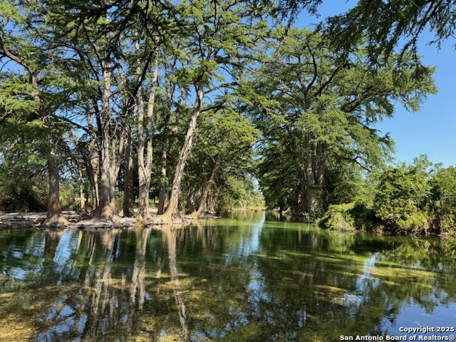 Image 14 of 19 For 101 Patterson