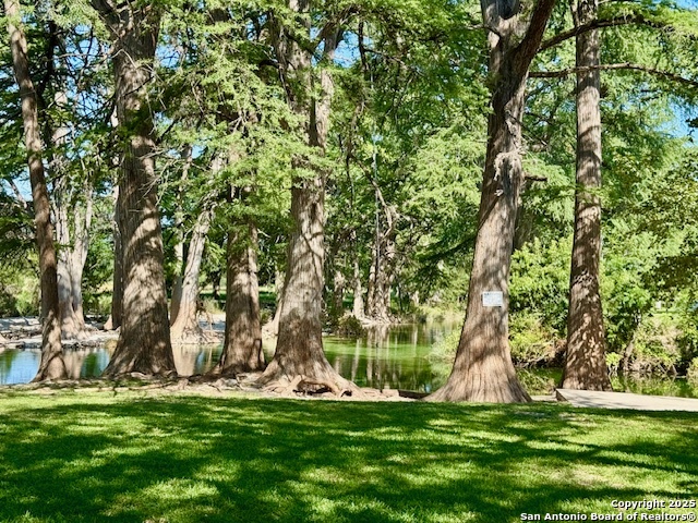 Image 15 of 19 For 101 Patterson