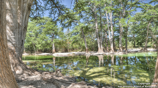 Image 18 of 19 For 101 Patterson