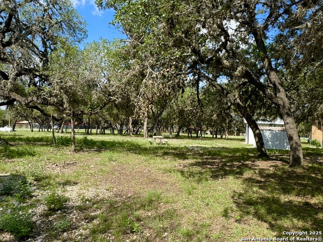 Image 5 of 19 For 101 Patterson