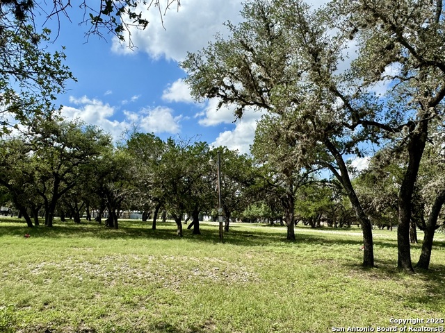 Image 7 of 19 For 101 Patterson