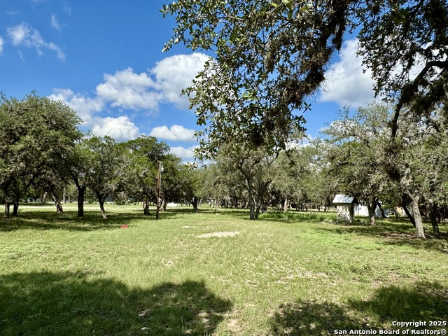 Image 9 of 19 For 101 Patterson