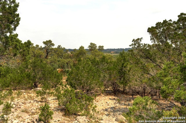 Listing photo id 20 for 2231 San Jose