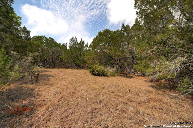 Listing photo id 23 for 2231 San Jose