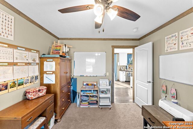 Listing photo id 9 for 230 County Road 426