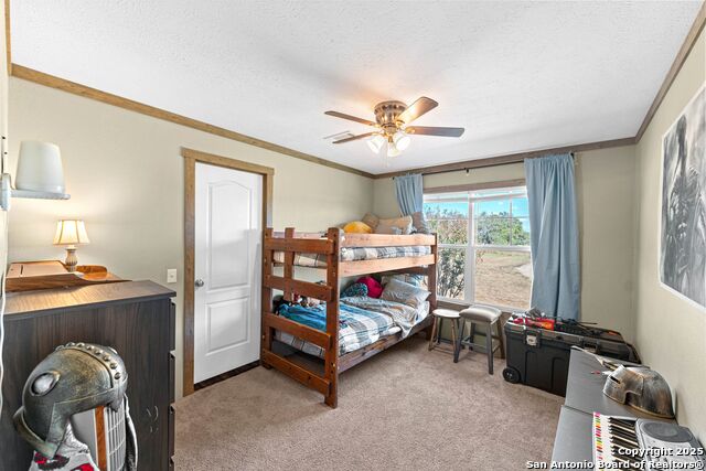 Listing photo id 16 for 230 County Road 426