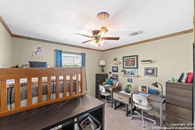 Listing photo id 18 for 230 County Road 426