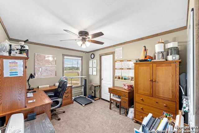 Listing photo id 7 for 230 County Road 426