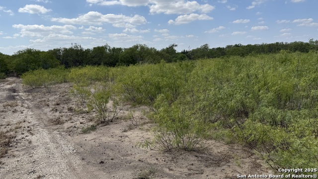 Image 3 of 9 For 788 County Road 154