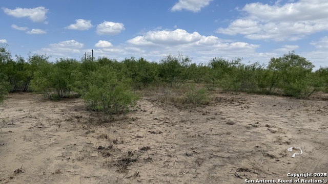 Image 4 of 9 For 788 County Road 154