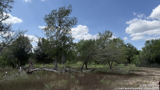 Image 7 of 9 For 788 County Road 154