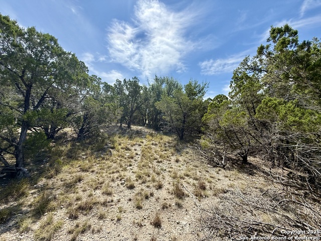 Listing photo id 4 for 640 Crossman