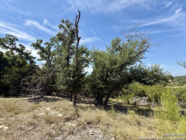 Listing photo id 5 for 640 Crossman