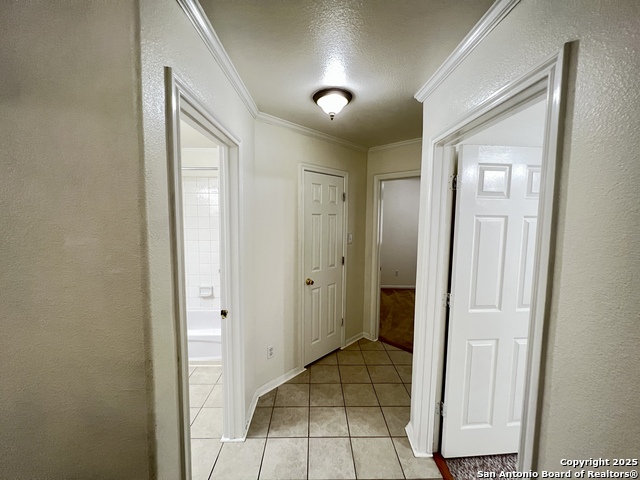 Image 31 of 41 For 4447 Amandas Cove