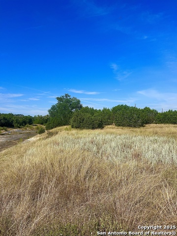 Image 13 of 13 For 109 Liberty Bell