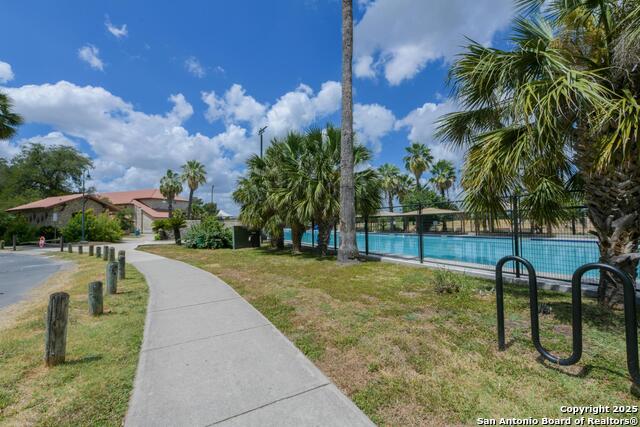 Image 34 of 38 For 1932 Huisache W