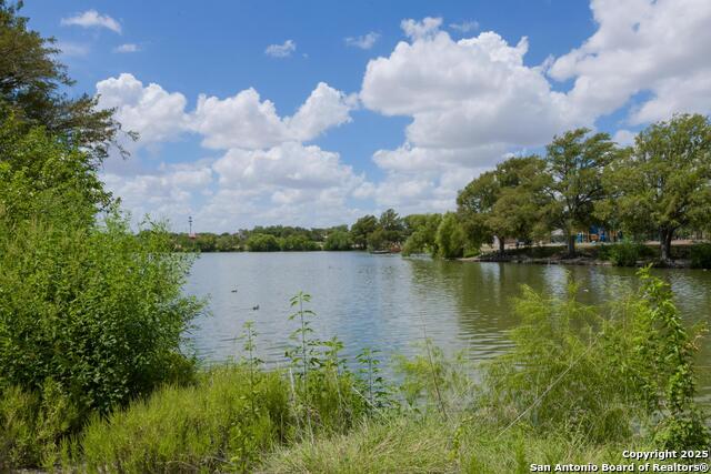 Image 36 of 38 For 1932 Huisache W