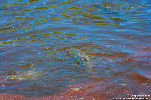 Image 10 of 19 For 306 Enlightening Rd