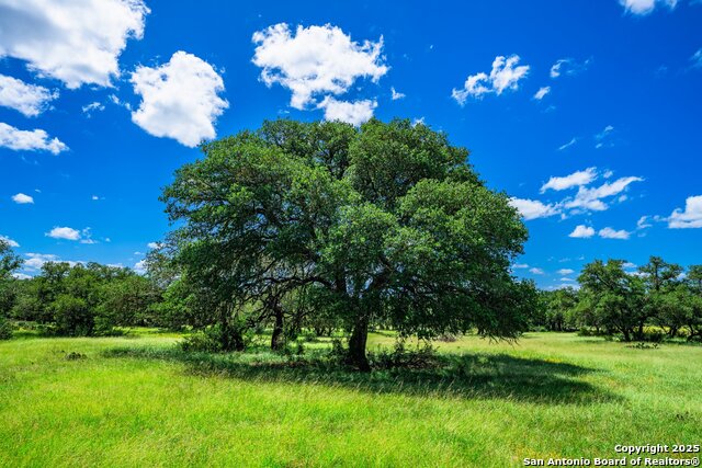 Image 16 of 19 For 306 Enlightening Rd