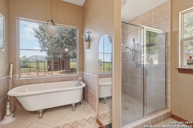 Image 12 of 47 For 1891 Tx-97  