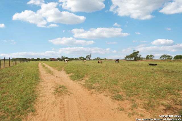 Image 44 of 47 For 1891 Tx-97  