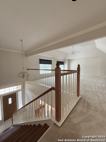 Listing photo id 10 for 4415 Shavano
