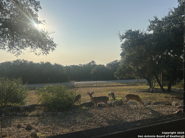 Image 4 of 14 For 6004 Gainsborough